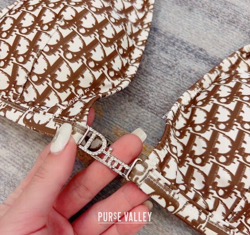 Dior Neck Two-Pieces Swimwear Brown 2025 0313 (WM-250313039)