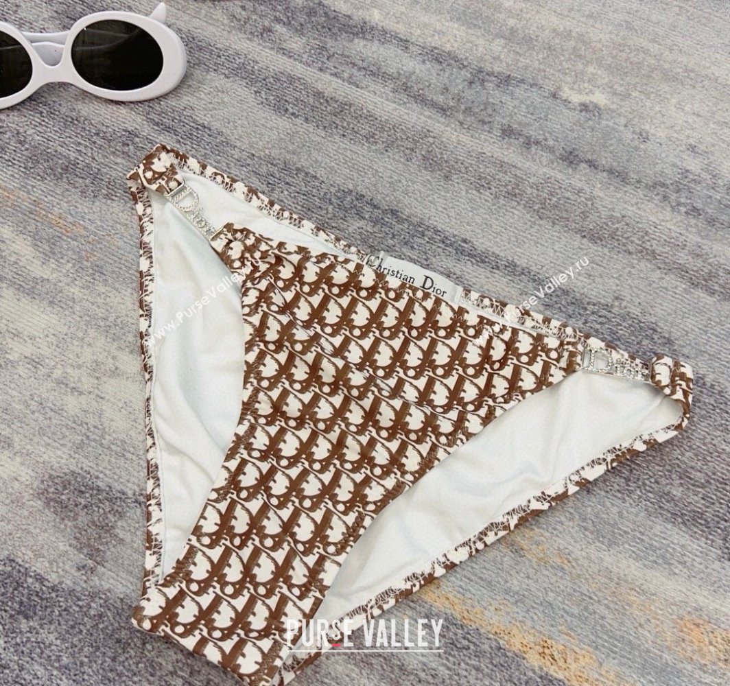 Dior Neck Two-Pieces Swimwear Brown 2025 0313 (WM-250313039)