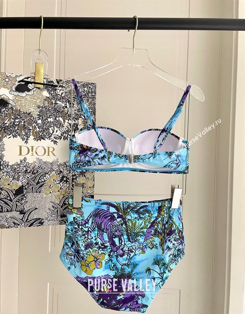 Dior Two-Pieces Swimwear Light Blue 2025 0616 (SHI-250616040)