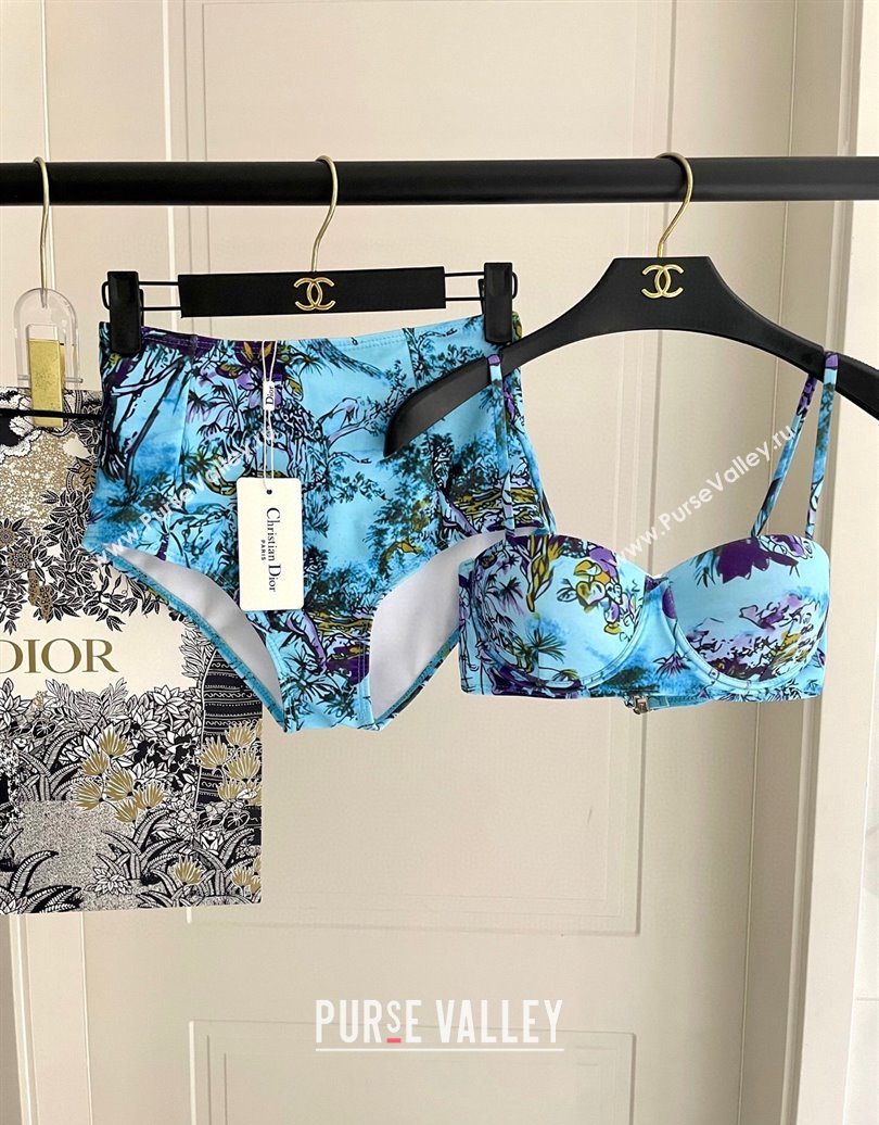 Dior Two-Pieces Swimwear Light Blue 2025 0616 (SHI-250616040)