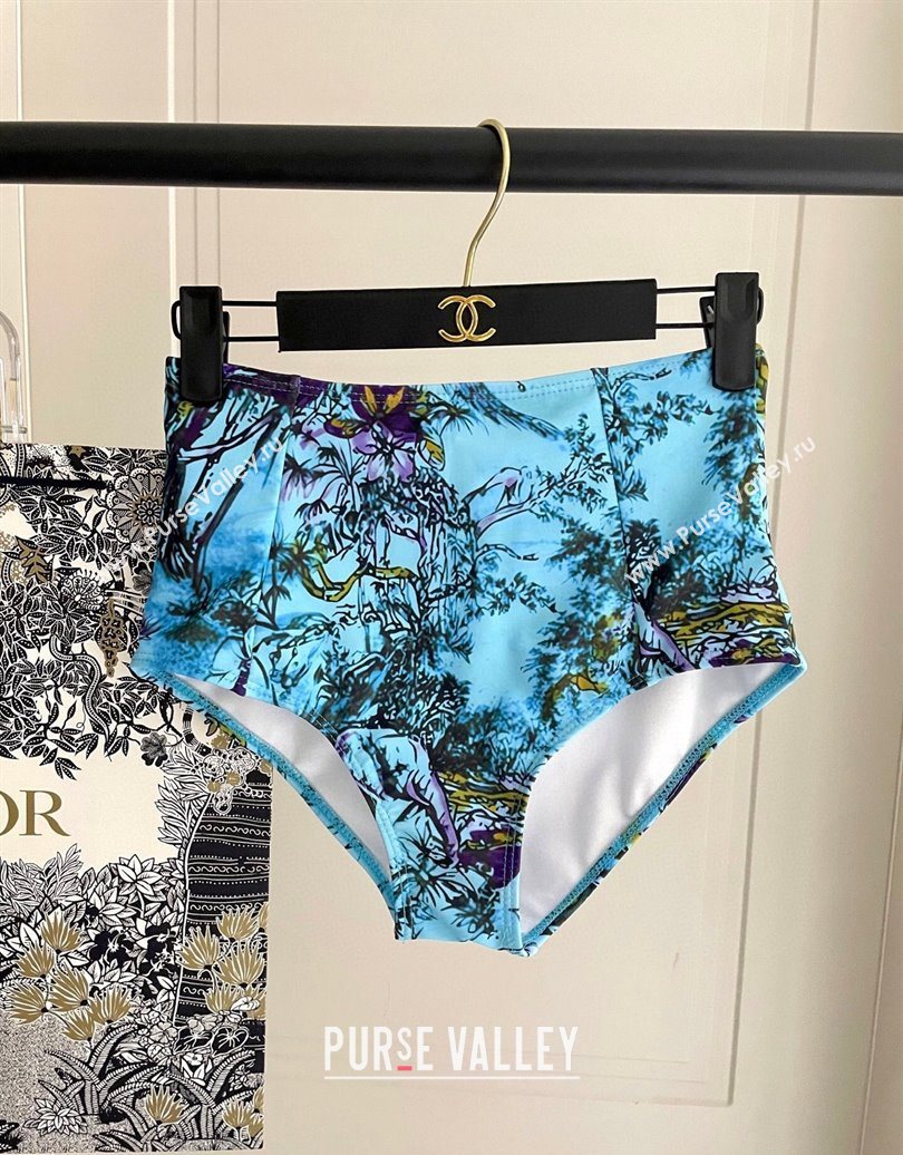 Dior Two-Pieces Swimwear Light Blue 2025 0616 (SHI-250616040)
