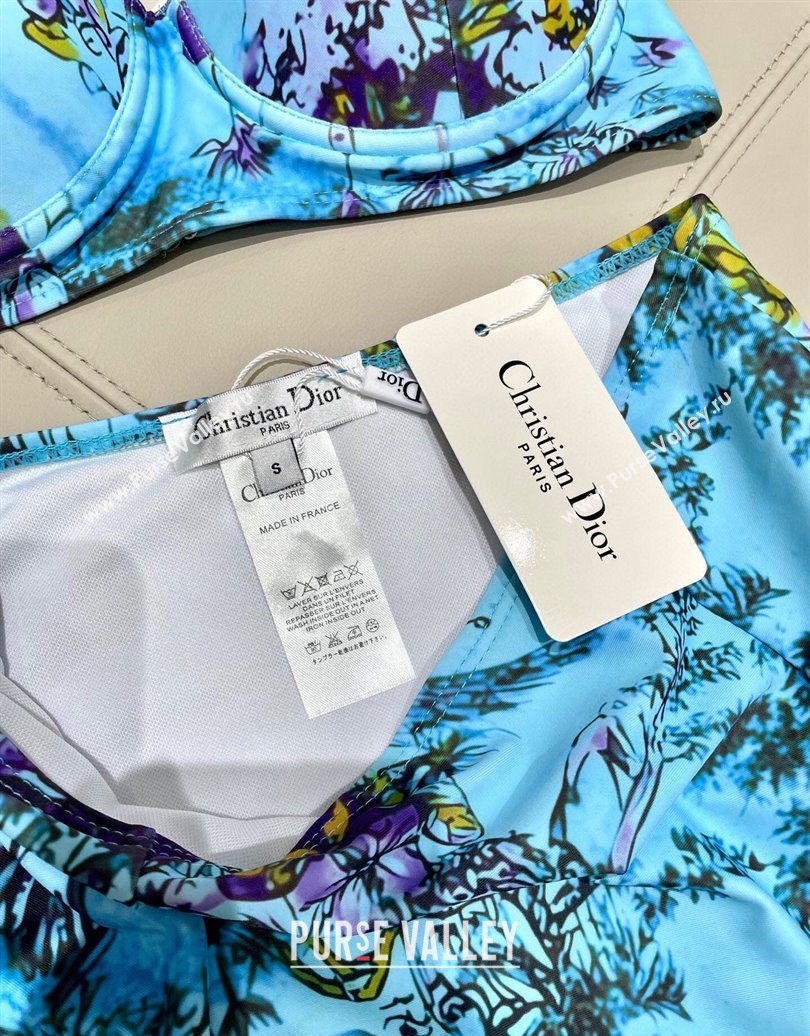 Dior Two-Pieces Swimwear Light Blue 2025 0616 (SHI-250616040)