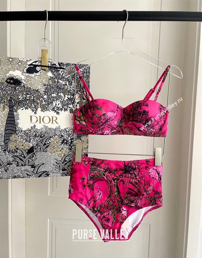 Dior Two-Pieces Swimwear Dark Pink 2025 0616 (SHI-250616041)
