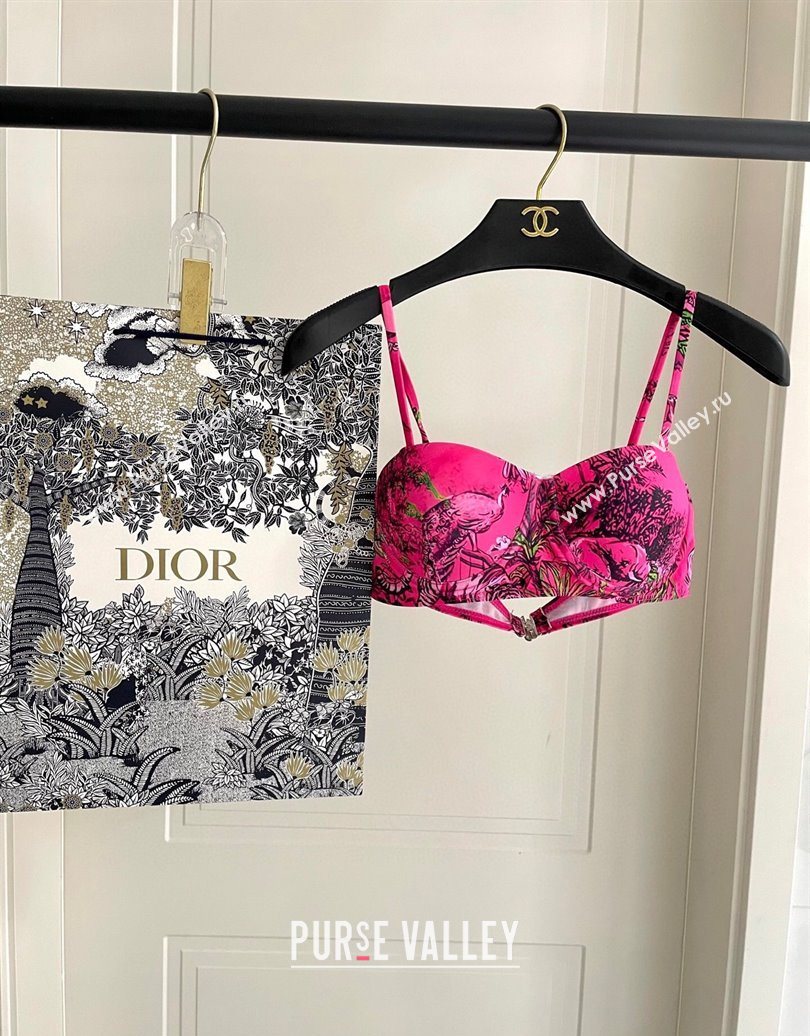 Dior Two-Pieces Swimwear Dark Pink 2025 0616 (SHI-250616041)