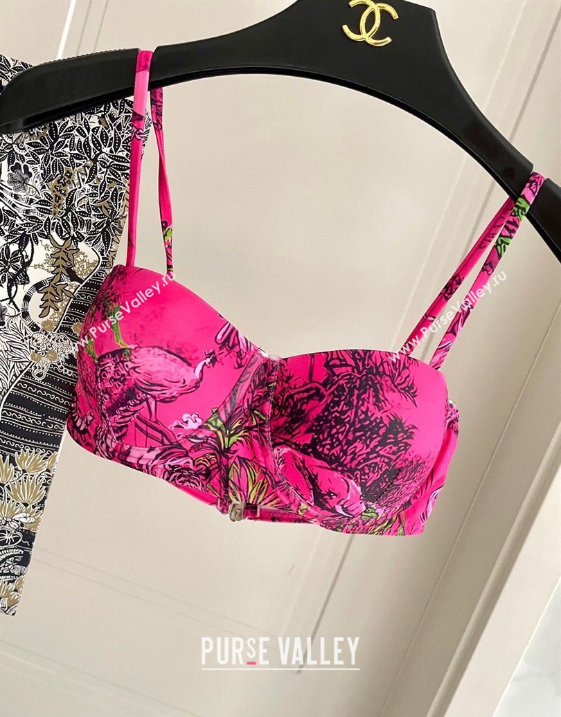 Dior Two-Pieces Swimwear Dark Pink 2025 0616 (SHI-250616041)