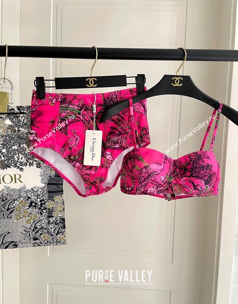 Dior Two-Pieces Swimwear Dark Pink 2025 0616 (SHI-250616041)