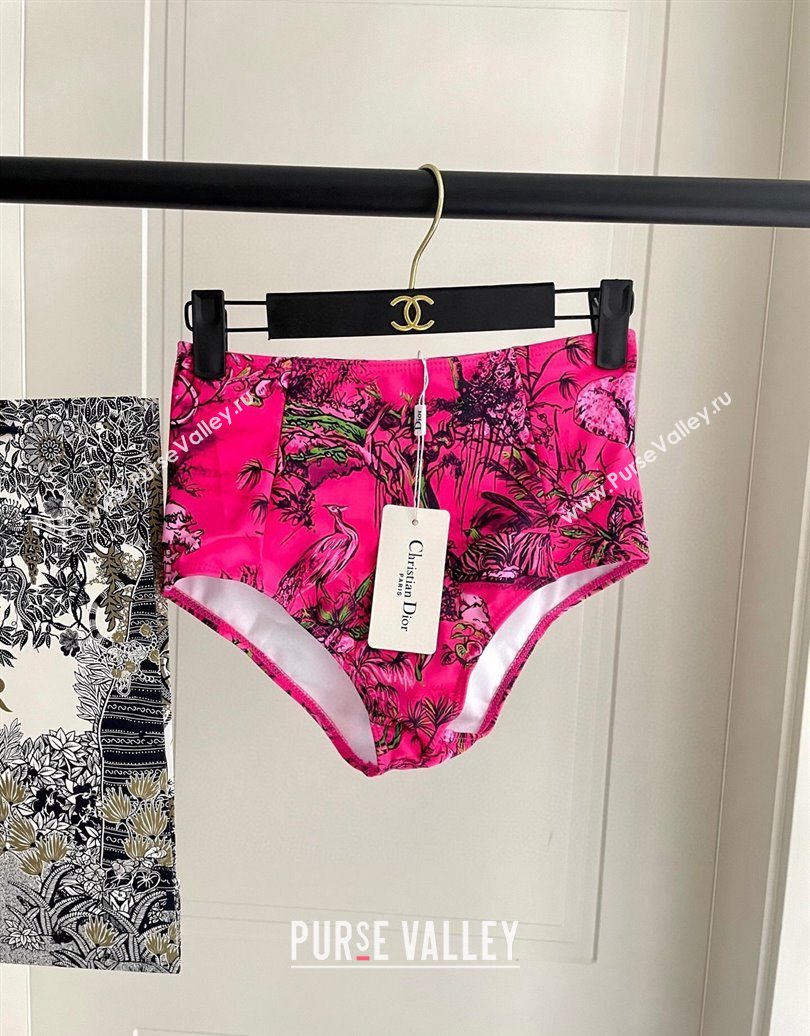 Dior Two-Pieces Swimwear Dark Pink 2025 0616 (SHI-250616041)