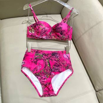 Dior Two-Pieces Swimwear Dark Pink 2025 0616 (SHI-250616041)