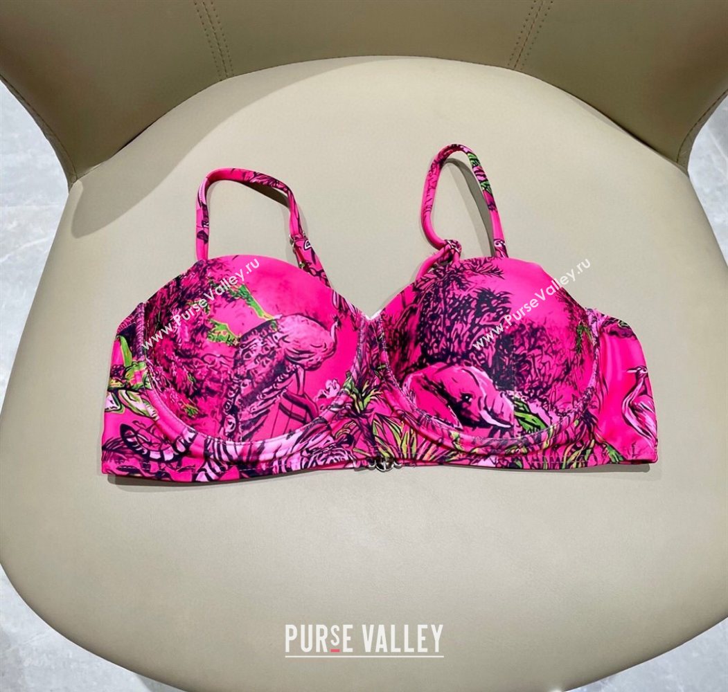 Dior Two-Pieces Swimwear Dark Pink 2025 0616 (SHI-250616041)
