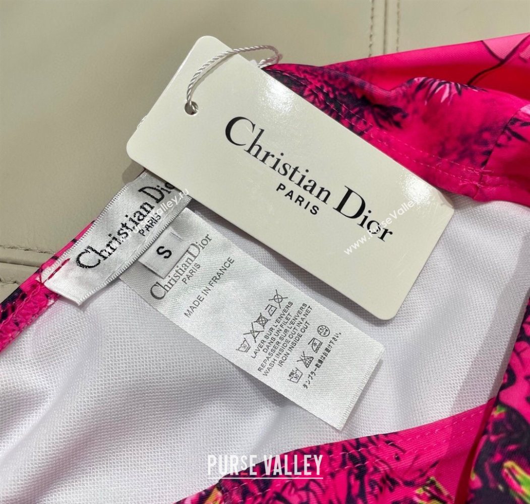 Dior Two-Pieces Swimwear Dark Pink 2025 0616 (SHI-250616041)