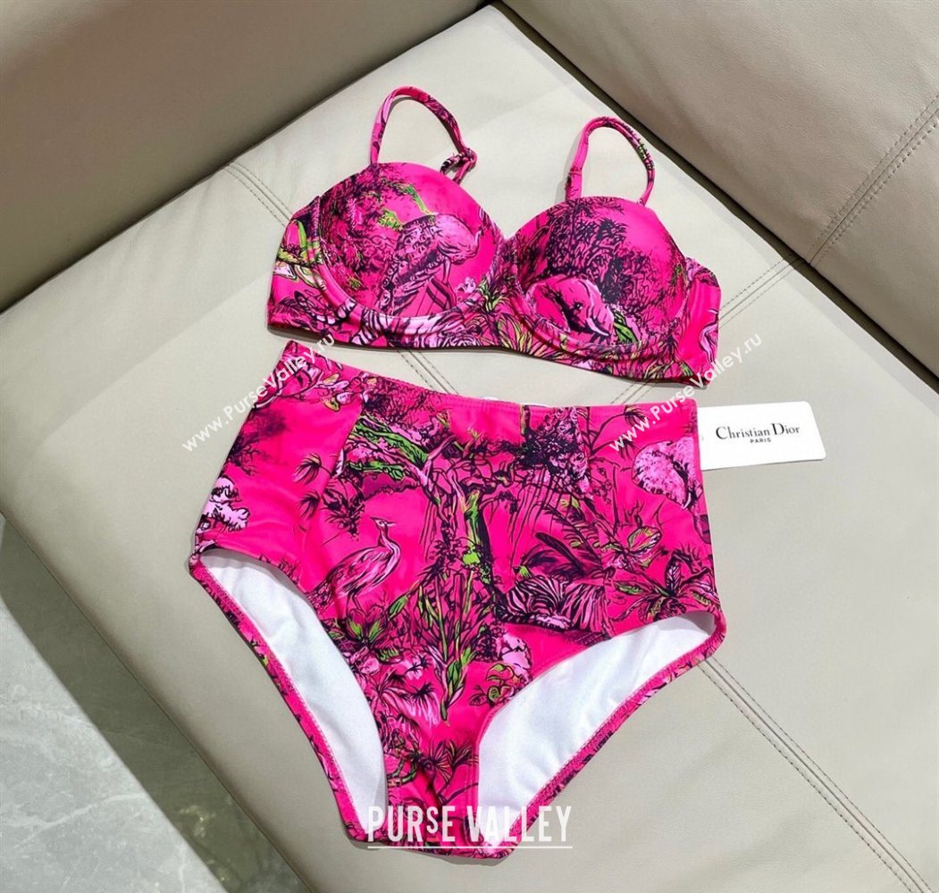 Dior Two-Pieces Swimwear Dark Pink 2025 0616 (SHI-250616041)