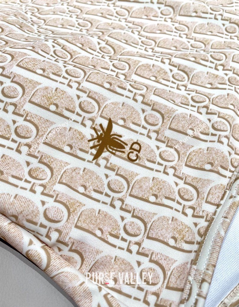 Dior Oblique Swimsuit Beige 2025 0723 (SHI-250723035)