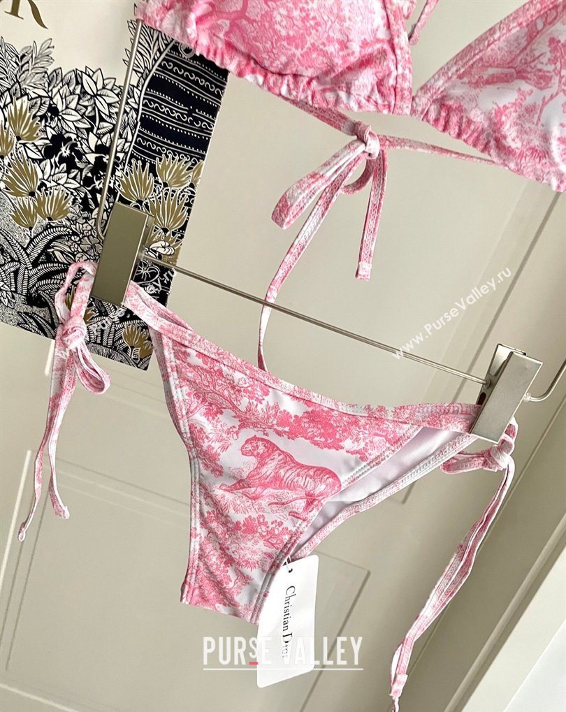 Dior Two-Pieces Swimwear Pink 2026 DR031902 (SHI-260319032)