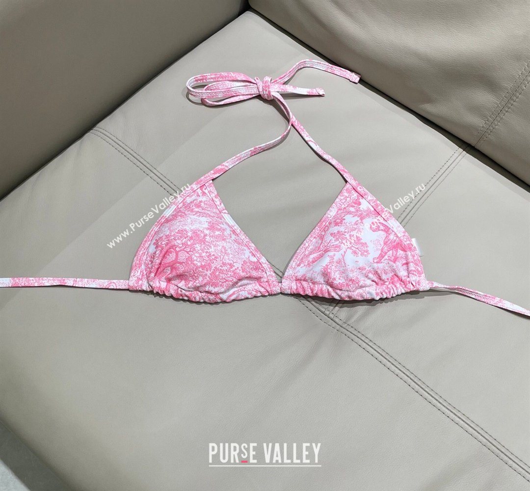 Dior Two-Pieces Swimwear Pink 2026 DR031902 (SHI-260319032)