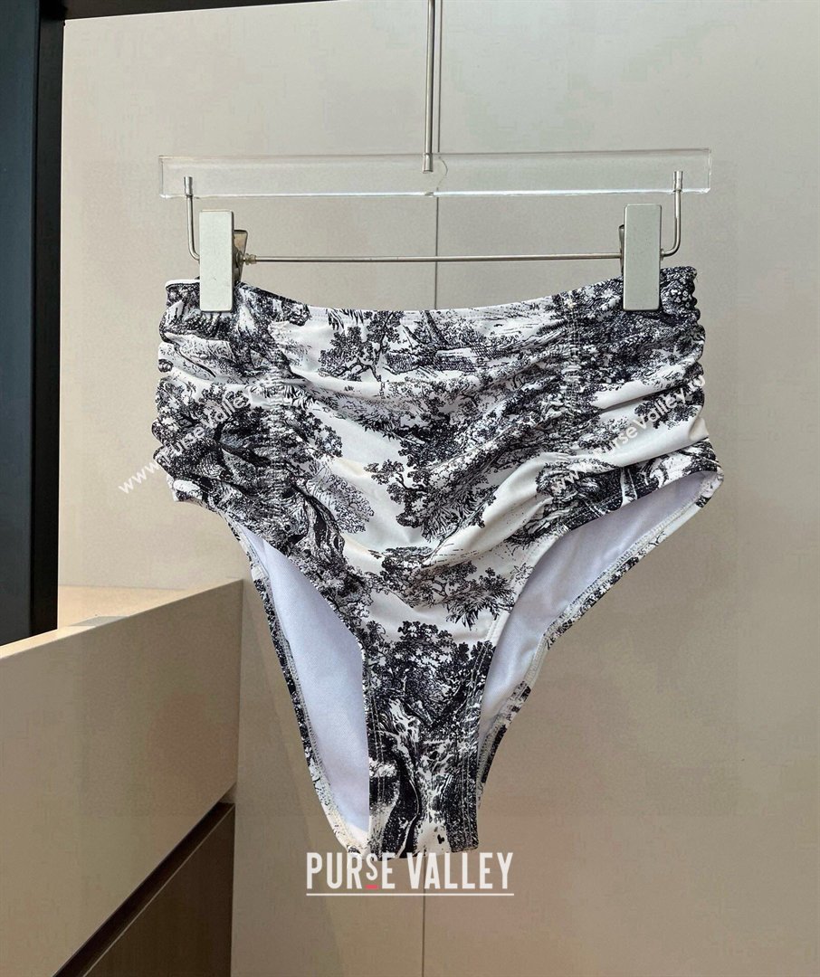 Dior Printed Two-Pieces Swimwear 2026 DR031801 (WM-260318082)
