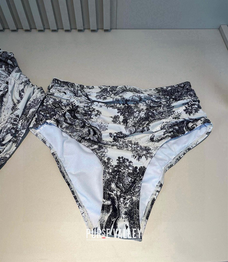 Dior Printed Two-Pieces Swimwear 2026 DR031801 (WM-260318082)