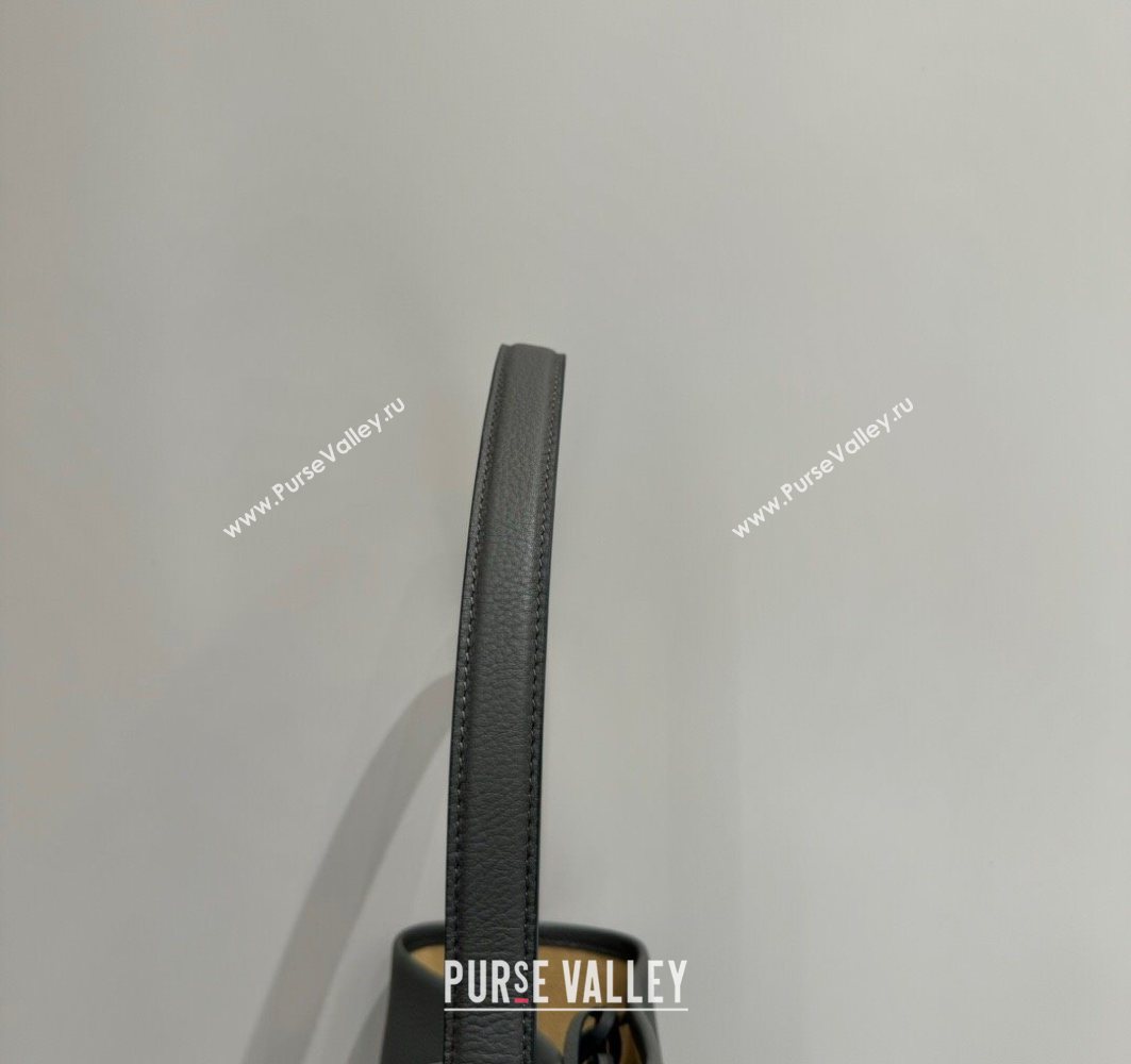 The Row Medium N/S Park Tote Bag in Grained Leather Timouse Grey 2025 0802 (YY-250802045)