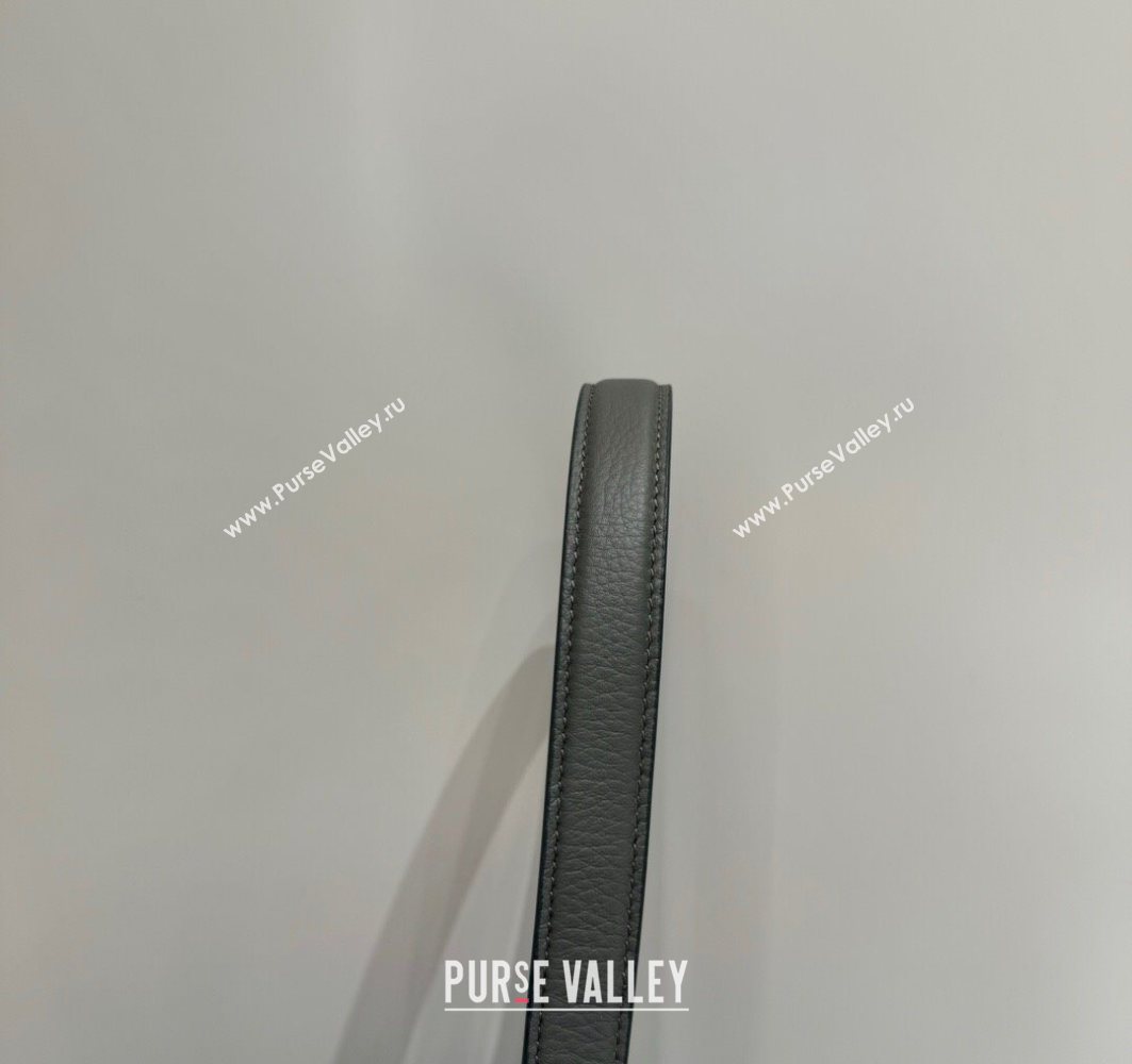 The Row Large N/S Park Tote Bag in Grained Leather Timouse Grey 2025 0802 (YY-250802044)