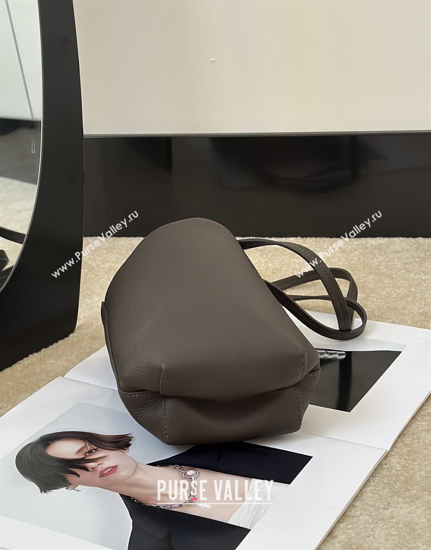 The Row N/S Park Crossbody Bag in Bonaudo Grained Leather Dark Brown 2026 8859 (CL-260410051)