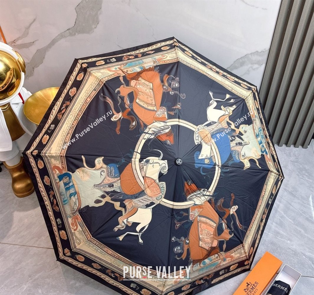 Hermes Umbrella Black 2025 031201 (shi-250312098)