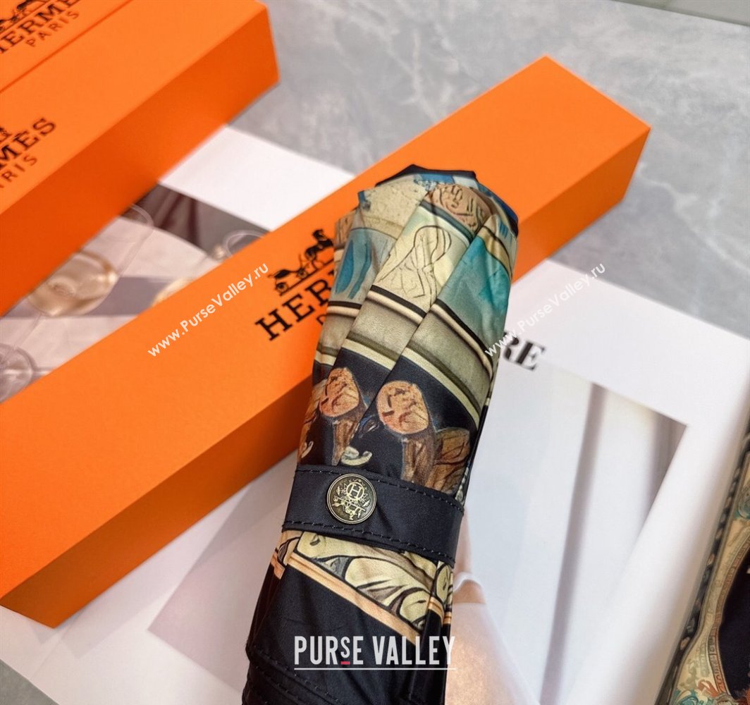 Hermes Umbrella Black 2025 031201 (shi-250312098)
