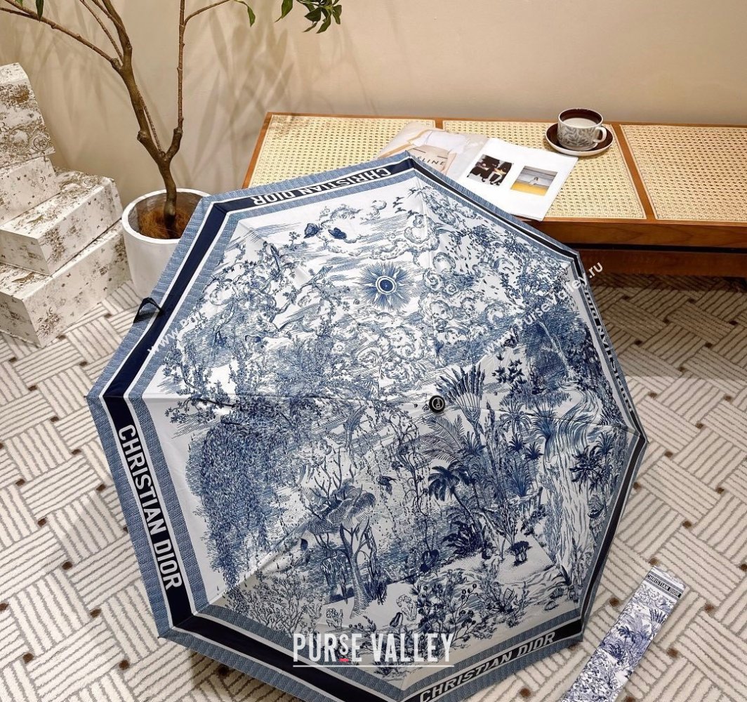 Dior Umbrella Blue/White 1 2025 0312 (shi-250312116)