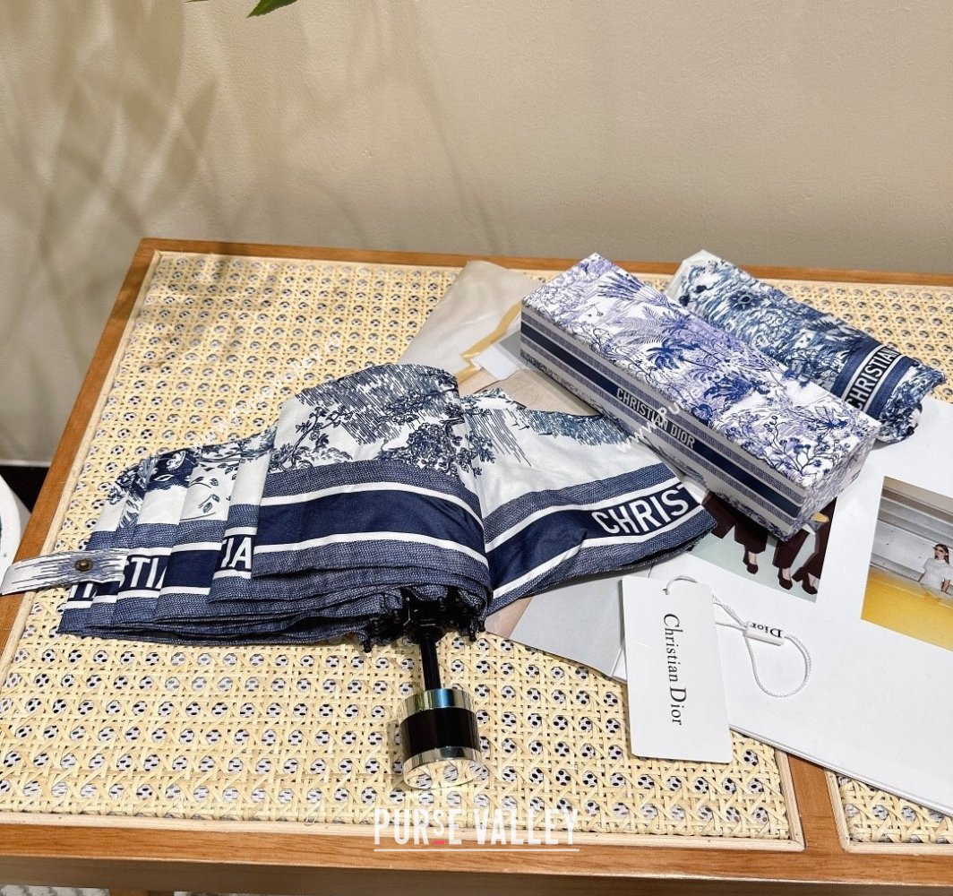 Dior Umbrella Blue/White 2 2025 0312 (shi-250312117)