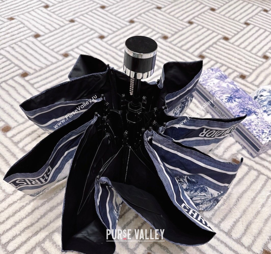 Dior Umbrella Blue/White 2 2025 0312 (shi-250312117)