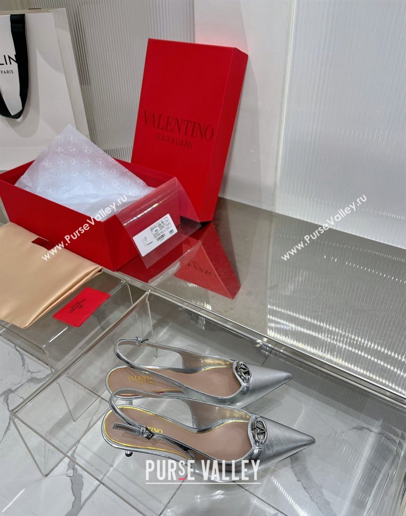 Valentino The Bold Edition VLogo Slingback Pumps 6cm in Glazed Metallic Leather Silver 2024 0227 (ZN-240227049)