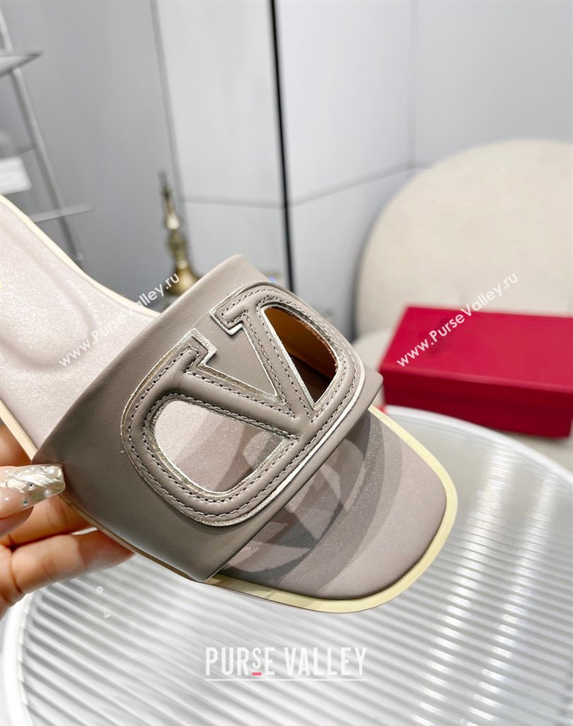 Valentino VLogo Cut-out Calfskin Flat Slide Sandals Grey 2024 (Rubber Outsole) (MD-240429054)