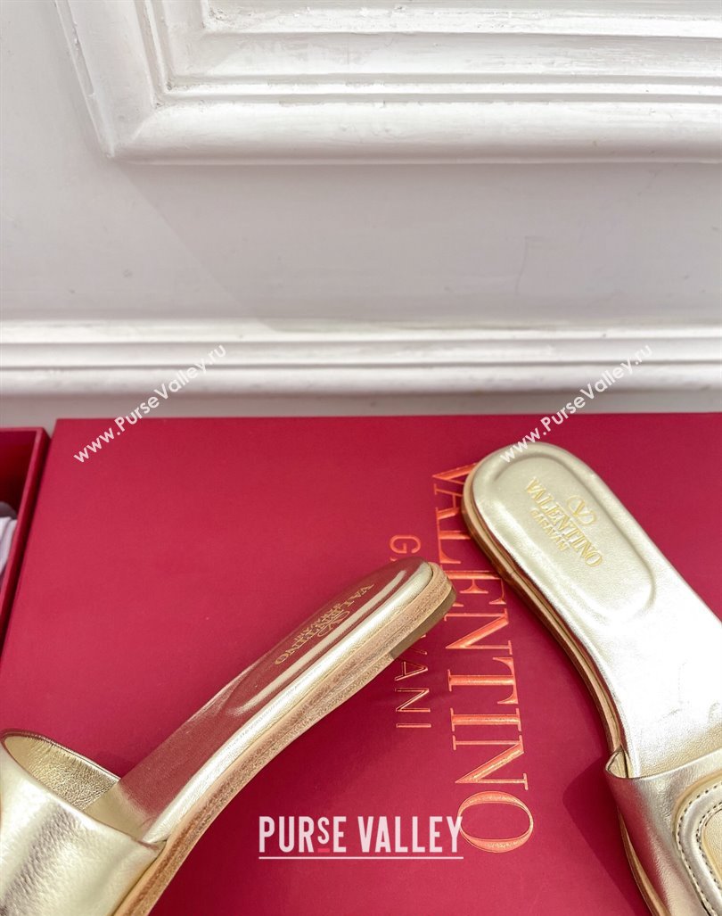 Valentino VLogo Cut-out Calfskin Flat Slide Sandals Gold 2024 (Leather Outsole) (MD-240429062)