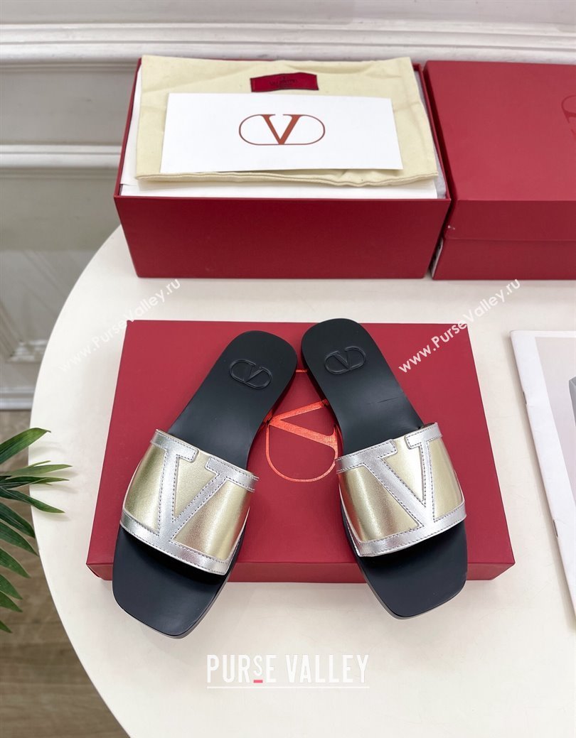 Valentino Calfskin VLogo Flat Slides Sandal Gold/Silver2 2024 VLTN111601 (MD-241116036)