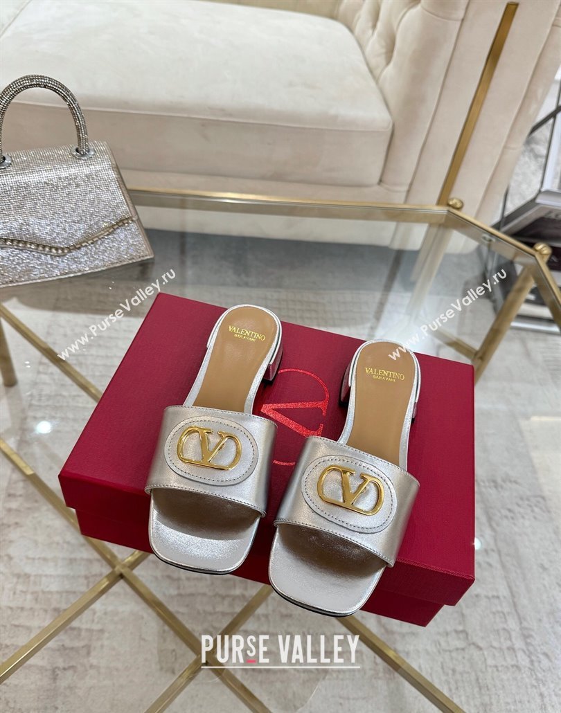 Valentino VLogo Signature Patch Calfskin Heel Slides Sandal 3cm Silver 2025 (MD-250428031)