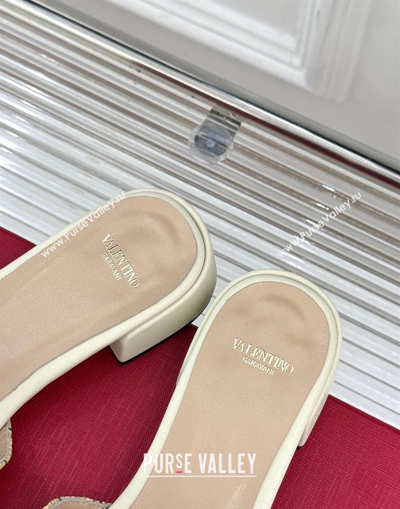 Valentino VLogo Signature Cherryfic Heel Slides Sandal 3cm in Jacquard Synthetic Raffia White 2025 (MD-250428036)