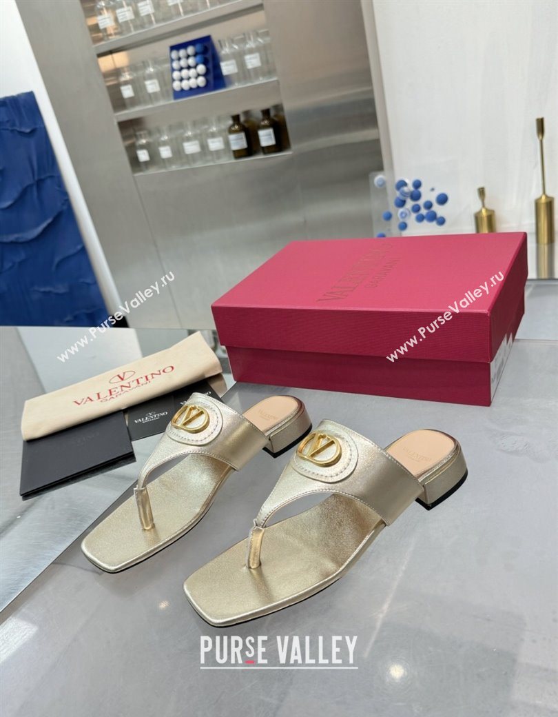 Valentino Vlogo Signature Flat Thong Slides Sandal in Calfskin Gold 2025 0902 (XL-250902064)