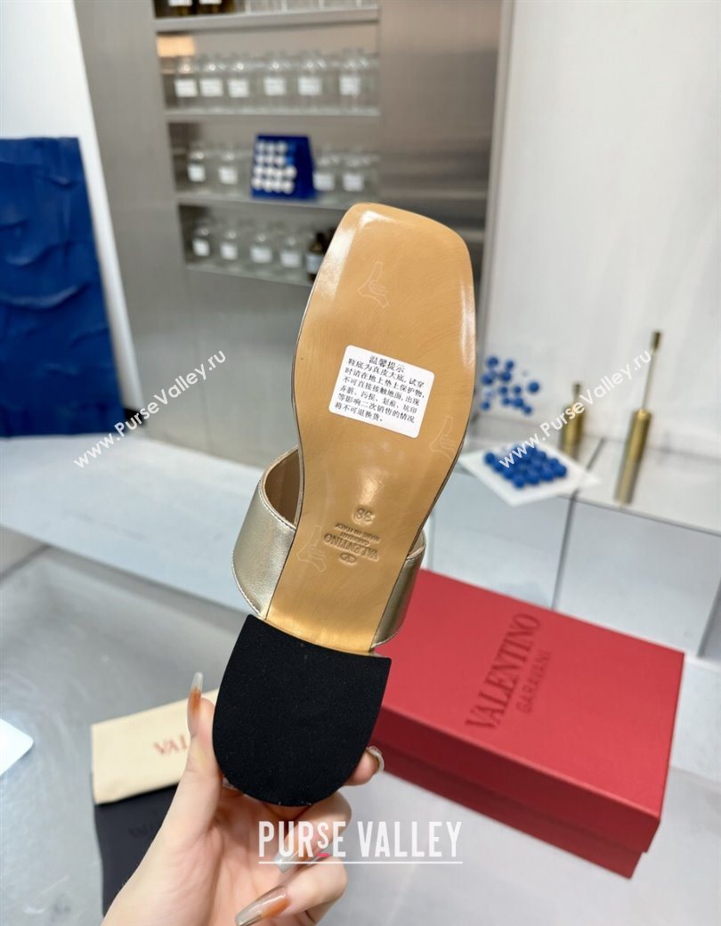 Valentino Vlogo Signature Flat Thong Slides Sandal in Calfskin Gold 2025 0902 (XL-250902064)