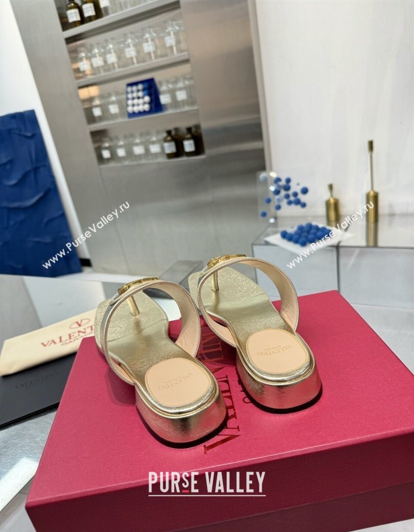 Valentino Vlogo Signature Flat Thong Slides Sandal in Calfskin Gold 2025 0902 (XL-250902064)