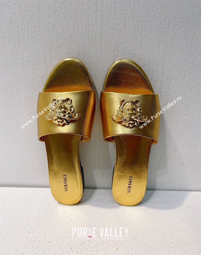 Versace Medusa Calfskin Flat Slides Sandal Gold 2024 061202 (MD-240612172)