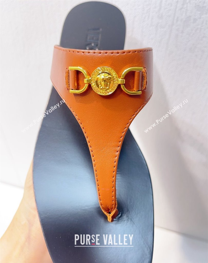 Versace Medusa 95 Calfskin Flat Thong Slides Sandal Brown 2024 0612 (MD-240612144)