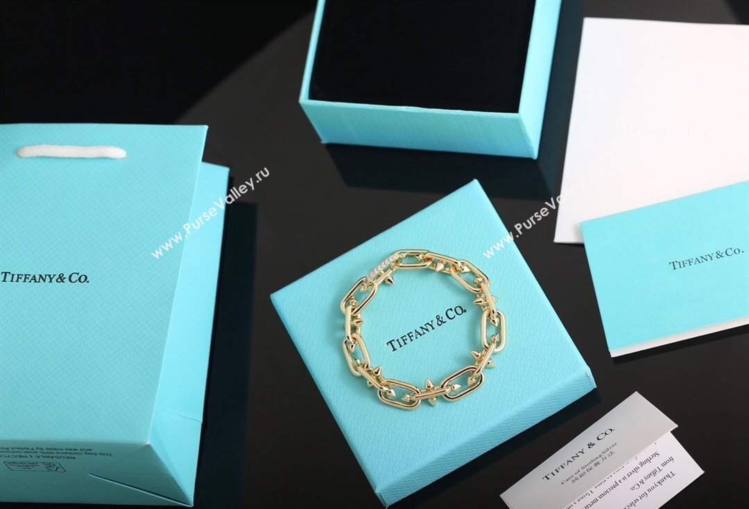 Tiffany x Pharrell Tian Bracelet with Strass 2024 1127 (YF-241127033)