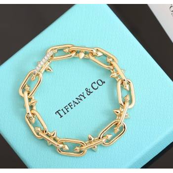 Tiffany x Pharrell Tian Bracelet with Strass 2024 1127 (YF-241127033)