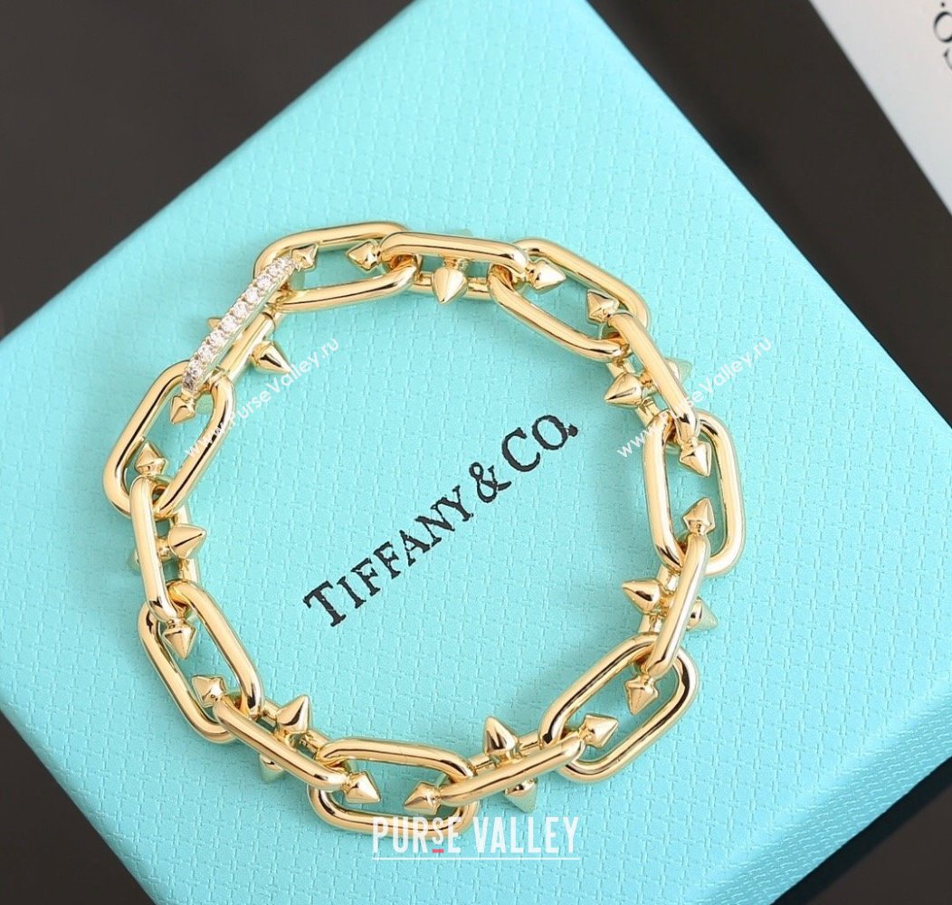 Tiffany x Pharrell Tian Bracelet with Strass 2024 1127 (YF-241127033)