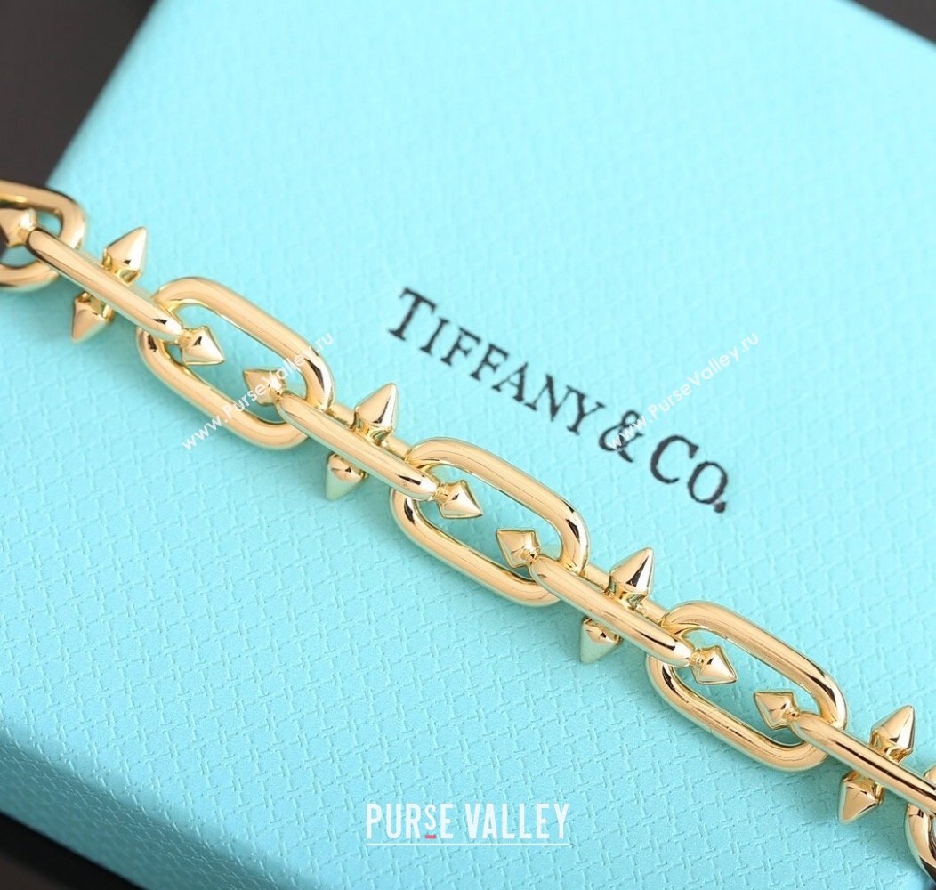 Tiffany x Pharrell Tian Bracelet with Strass 2024 1127 (YF-241127033)