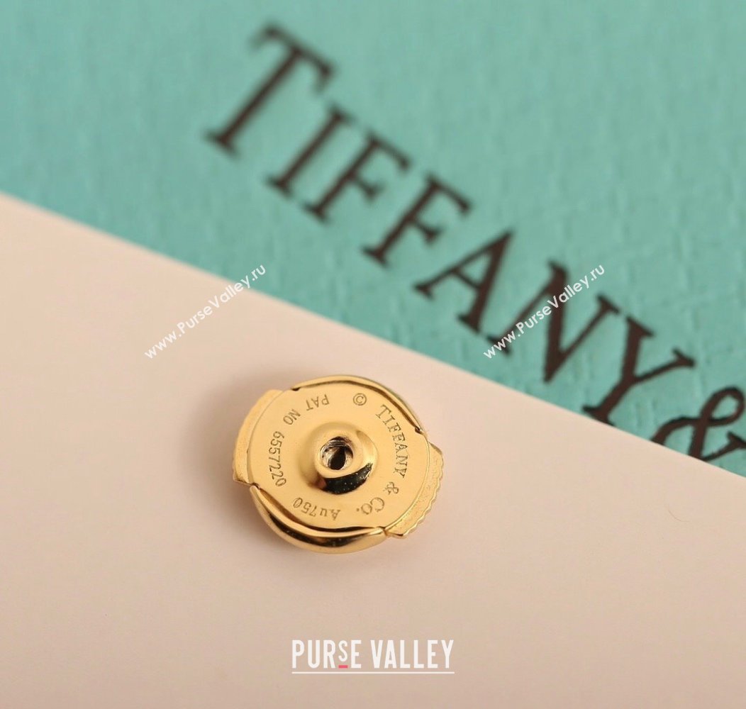 Tiffany x Pharrell Tian Earrings with Strass 2024 1127 (YF-241127032)