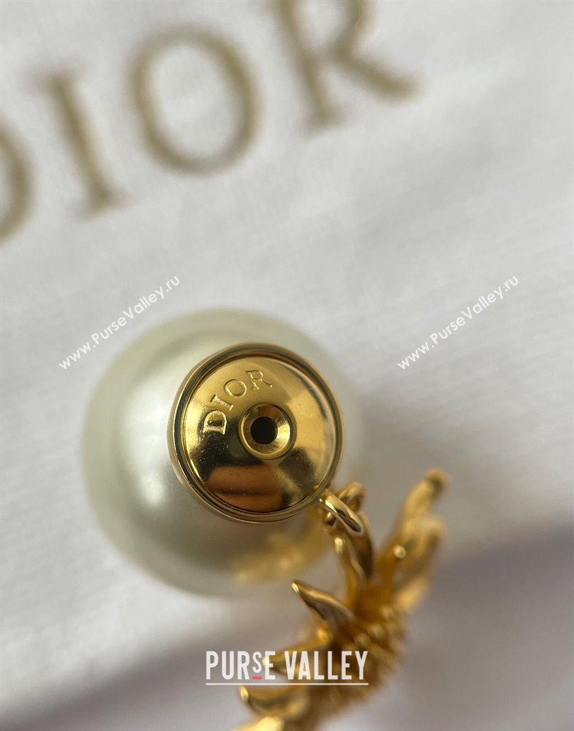 Dior Tribales Chardons Earrings with Bloom 2025 (YF-250113114)