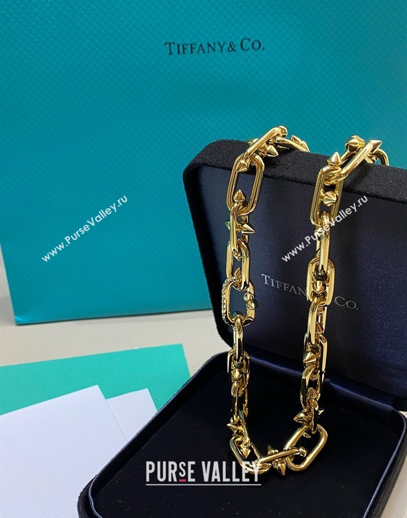 Tiffany Titan by Pharrell Williams Clasp Necklace with Strass Gold 2025 0114 (YF-250114080)