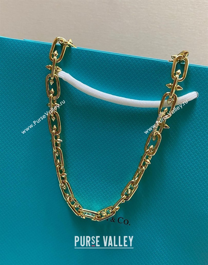 Tiffany Titan by Pharrell Williams Clasp Necklace with Strass Gold 2025 0114 (YF-250114080)