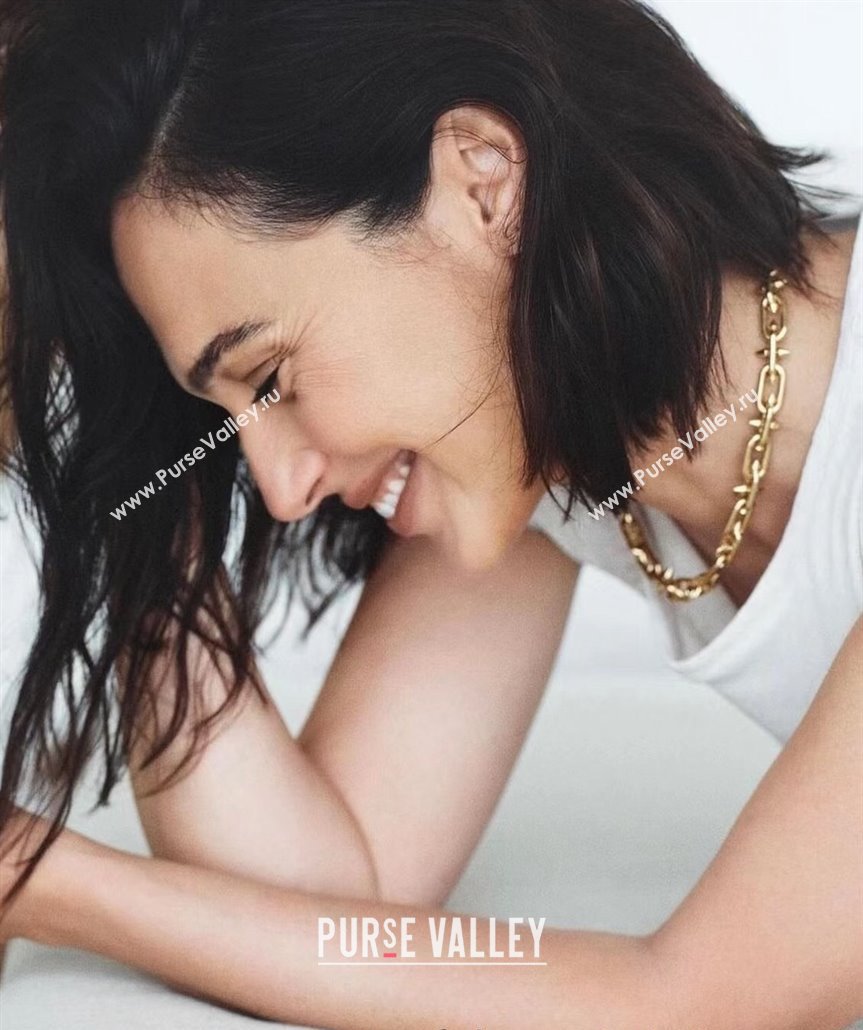 Tiffany Titan by Pharrell Williams Clasp Necklace with Strass Gold 2025 0114 (YF-250114080)