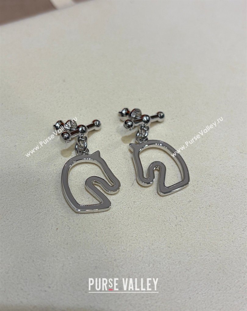 Hermes Tonnerre Earrings Grey/Silver 2026 0320 (YF-260320129)