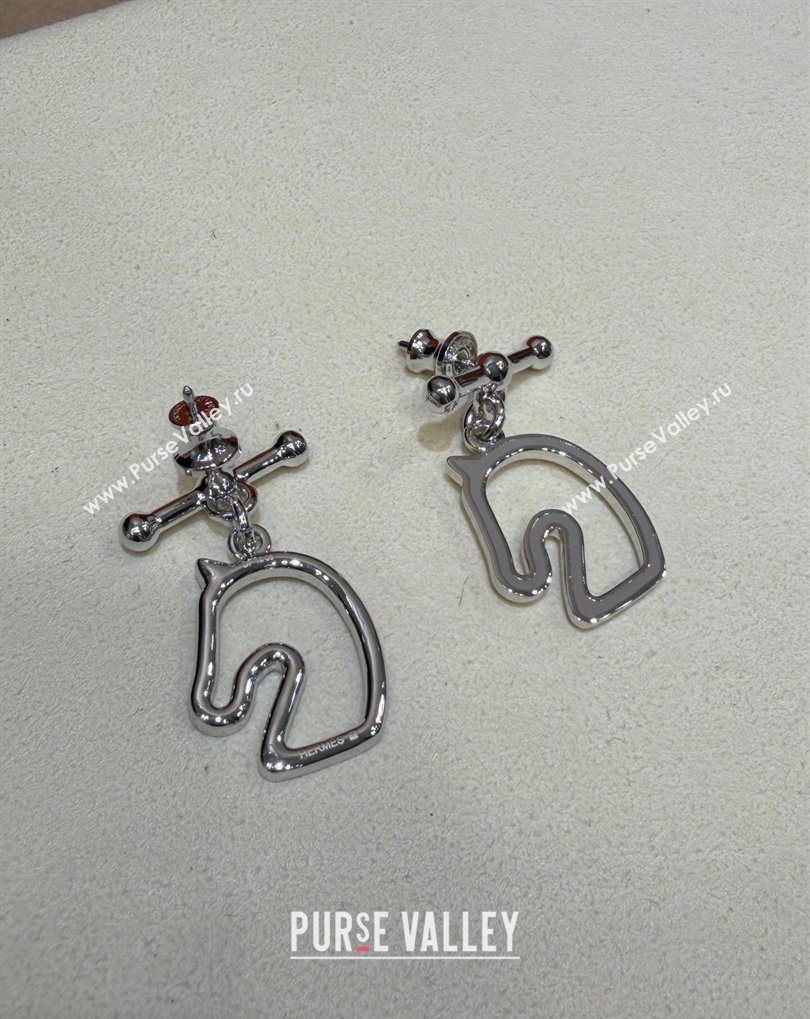 Hermes Tonnerre Earrings Grey/Silver 2026 0320 (YF-260320129)
